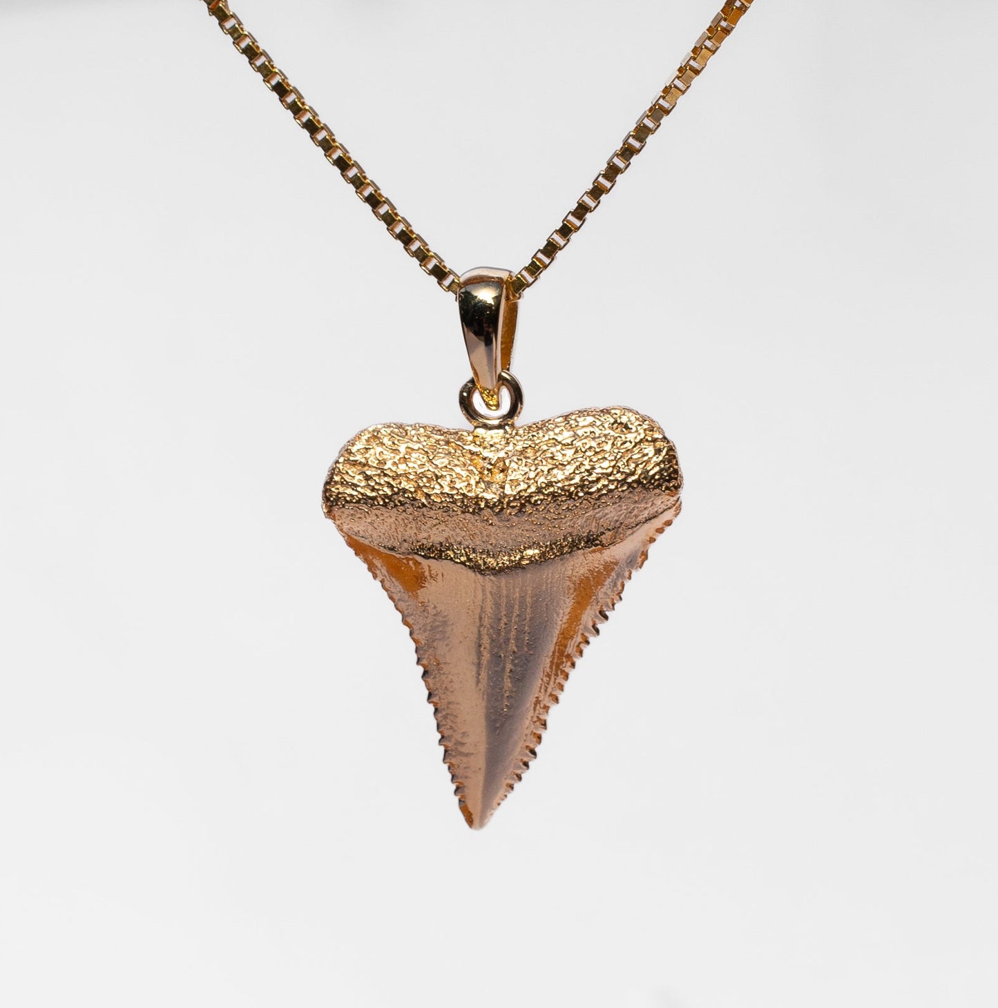 Golden Shark Tooth Pendant