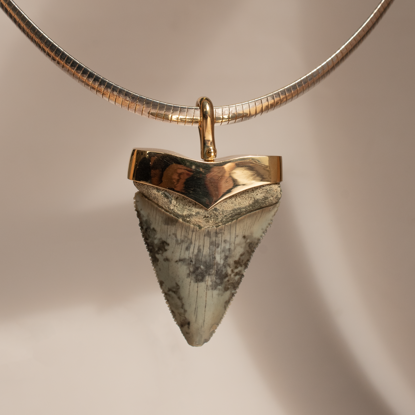 Giant Gold Shark Tooth Pendant