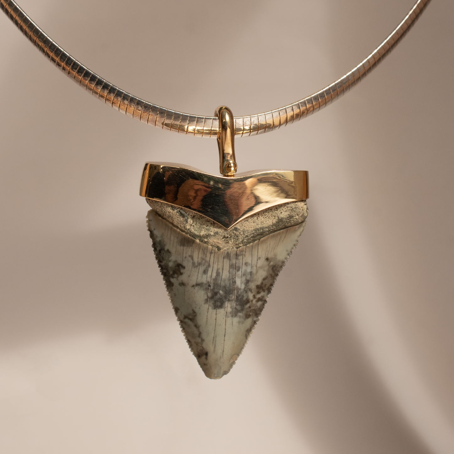 Gold Shark Tooth Pendant