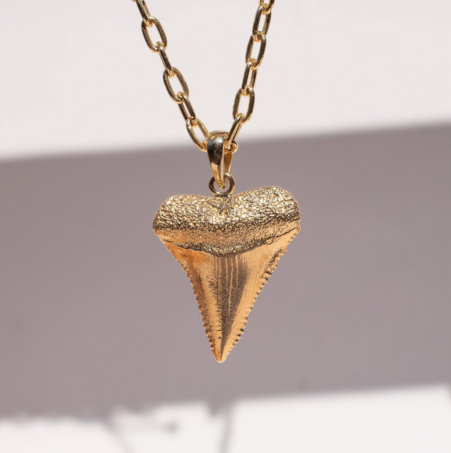 Golden Shark Tooth Pendant