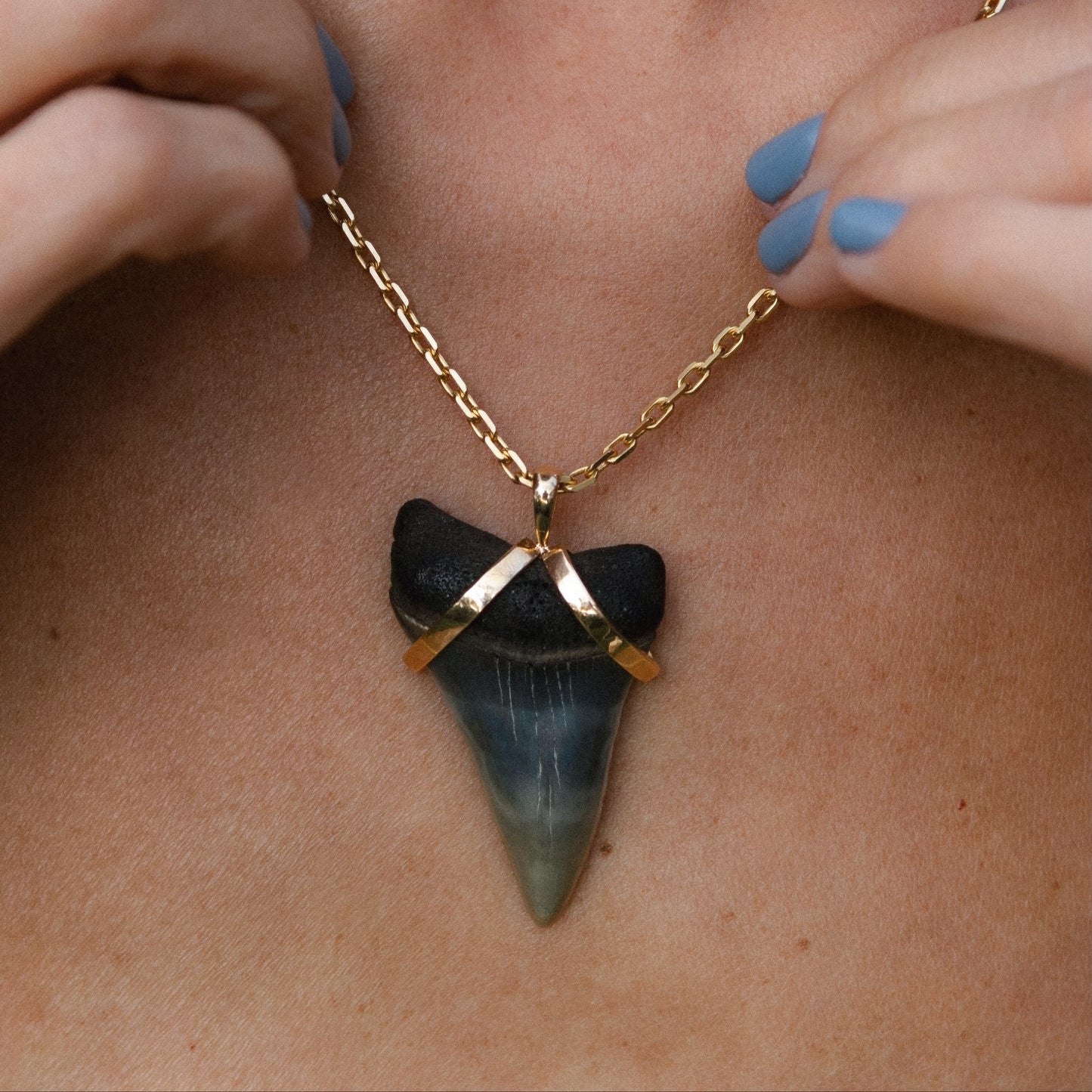 The Gold Wrapped Sharks Tooth