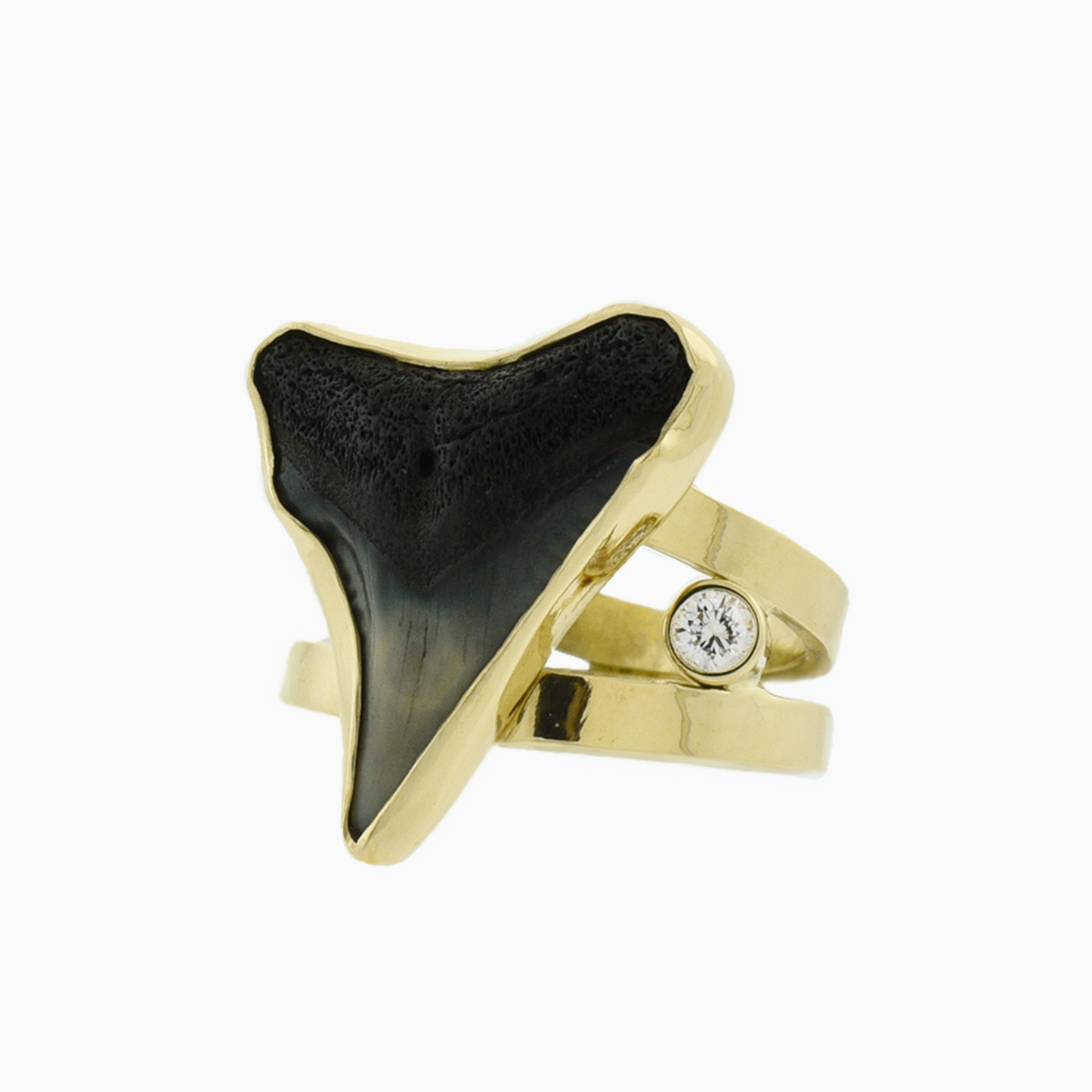 Shark Tooth Ring | 14k | Size 6
