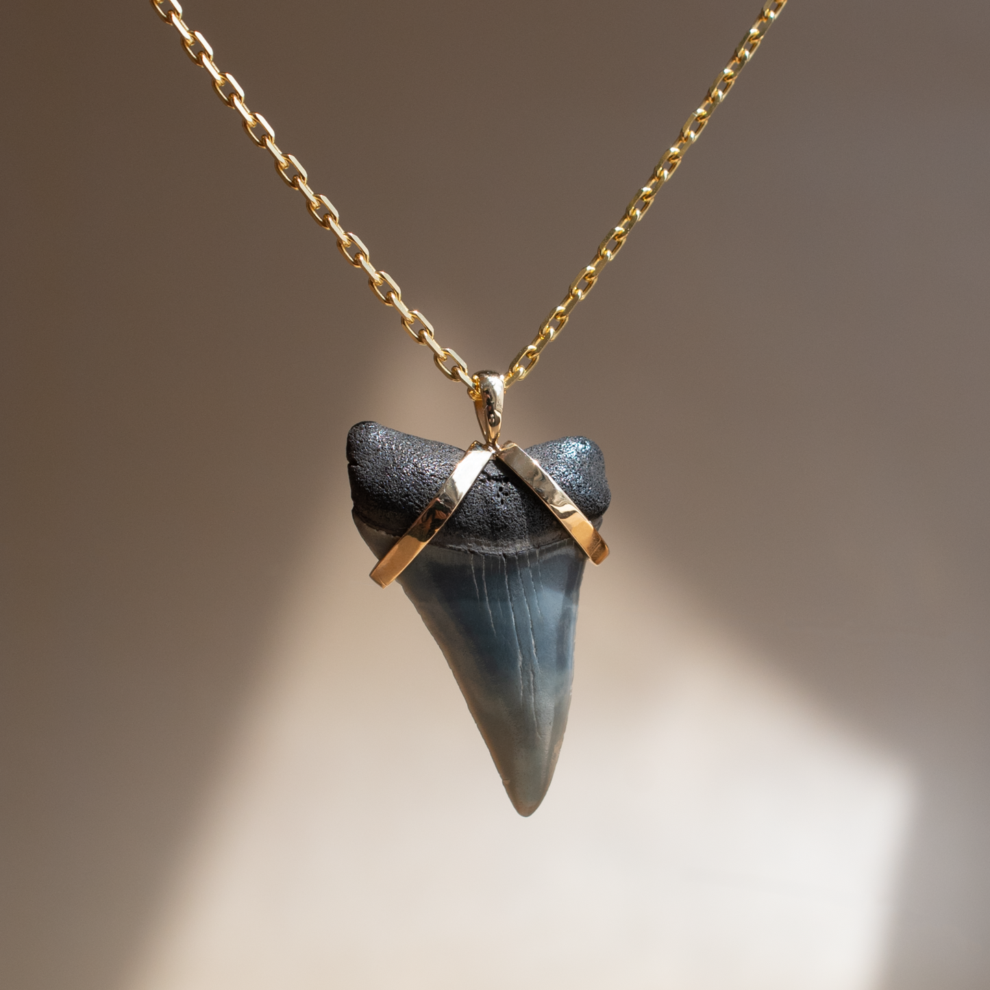 Shark Tooth Pendant