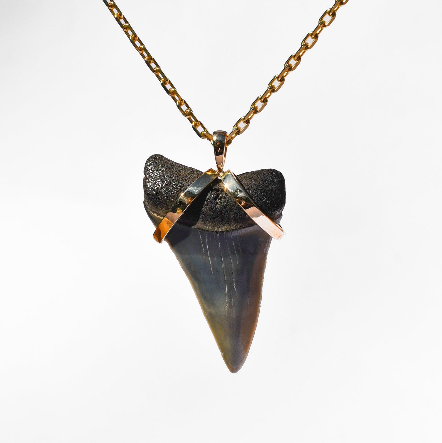 The Gold Wrapped Sharks Tooth