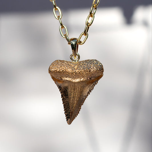 Solid Gold Sharks Tooth