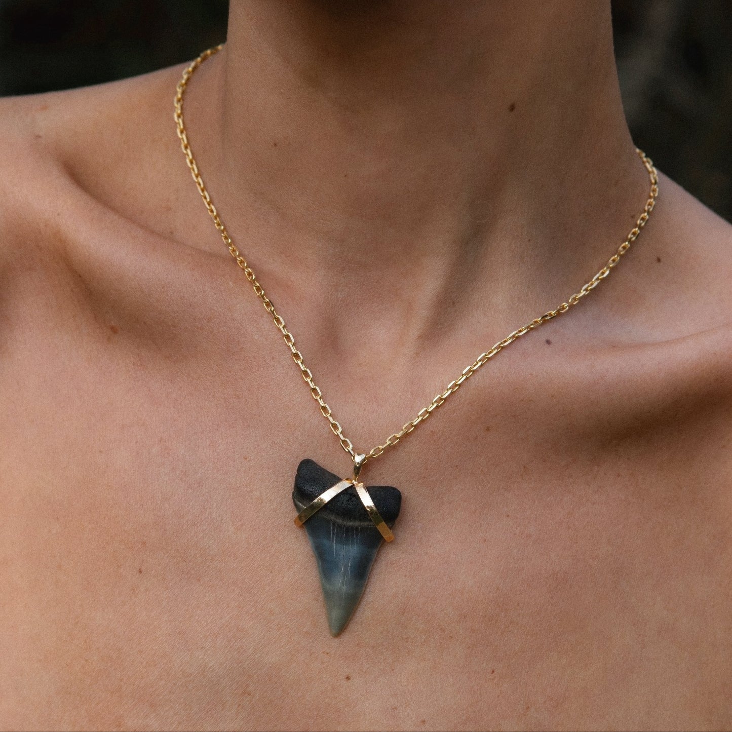 The Gold Wrapped Sharks Tooth