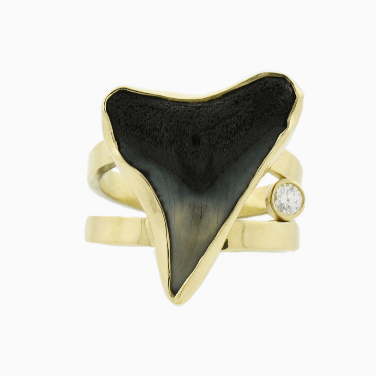 Shark Tooth Ring | 14k | Size 6